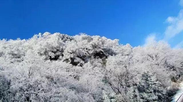 亚洲杯已提前出线4队：卡塔尔、澳大利亚、伊朗、伊拉克