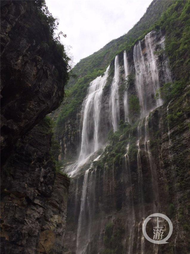 豆浆放五天有味吗？游戏画面